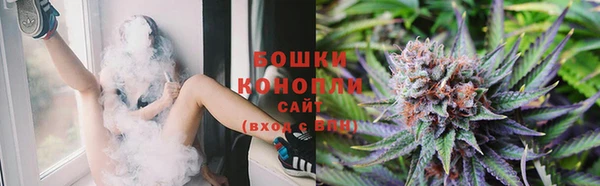 ПСИЛОЦИБИНОВЫЕ ГРИБЫ Баксан